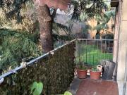 Appartamento in affitto a Bologna BO