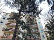 Appartamento in affitto a Bologna BO