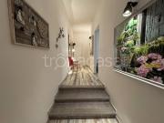 Appartamento in affitto a Bologna via Cartoleria,...