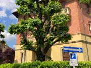 Appartamento in affitto a Bologna via Cherubino...