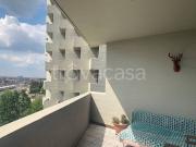 Appartamento in affitto a Bologna via Emilio Zago, 2,...