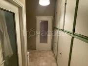 Appartamento in affitto a Bologna via Gastone Rossi,...