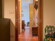 Appartamento in affitto a Bologna via Leonetto Cipriani,...