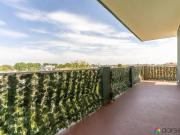 Appartamento in affitto a Buccinasco MI