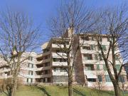 Appartamento in affitto a Buccinasco MI