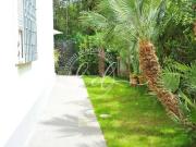 Appartamento in affitto a Camaiore LU