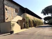 Appartamento in affitto a Capalbio via Pedemontana, 25,...