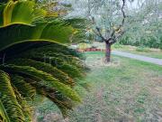 Appartamento in affitto a Capannori via del Chiasso,...