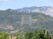 Appartamento in affitto a Carrara via dei Mille, non...