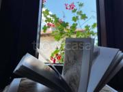 Appartamento in affitto a Casalzuigno via Libertà,...