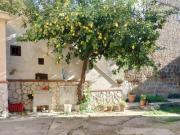 Appartamento in affitto a Caserta CE