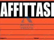 Appartamento in affitto a Castelfranco di Sotto PI