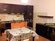 Appartamento in affitto a Castelfranco Emilia MO