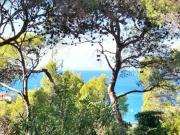 Appartamento in affitto a Castiglioncello, Rosignano...