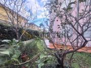 Appartamento in affitto a Cecina