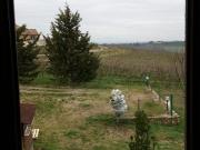 appartamento in affitto a certaldo