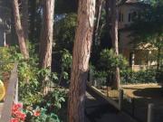 Appartamento in affitto a Cervia, Milano Marittima
