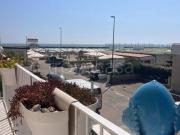 Appartamento in affitto a Cervia viale Romagna, 171,... Appartamento in affitto a Cervia viale Romagna, 171,...