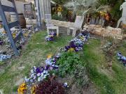 Appartamento in affitto a Cesenatico