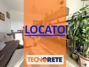 Appartamento in affitto a Cologno Monzese MI