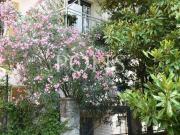 Appartamento in affitto a Como via pessina