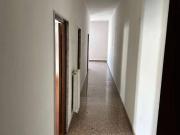 Appartamento in affitto a Corato BA