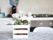 Appartamento in affitto a Desenzano del Garda via...