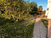 Appartamento in affitto a Dolo