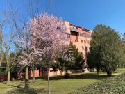 Appartamento in affitto a Ferrara