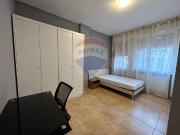 Appartamento in affitto a Ferrara