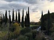 Appartamento in affitto a Firenze FI