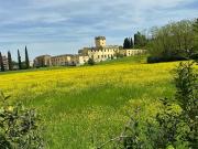 Appartamento in affitto a Firenze FI