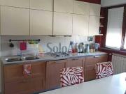Appartamento in affitto a Firenze FI