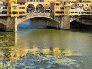 Appartamento in affitto a Firenze FI
