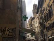 Appartamento in affitto a Firenze FI