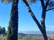 Appartamento in affitto a Firenze FI