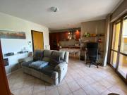 Appartamento in affitto a Firenze FI