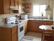 Appartamento in affitto a Firenze FI