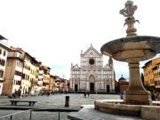 Appartamento in affitto a Firenze FI