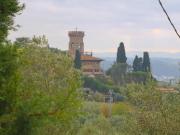 Appartamento in affitto a Firenze FI