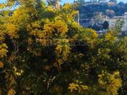 Appartamento in affitto a Firenze, Santa Croce