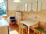 Appartamento in affitto a Firenze via Brunetto Latini,...