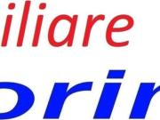 Appartamento in affitto a Firenze via locchi, arredato,...