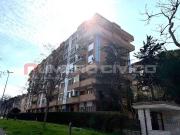 Appartamento in affitto a Foggia FG