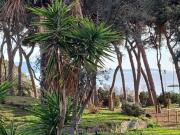 APPARTAMENTO in AFFITTO a FOLLONICA PRATORANIERI di 4 vani