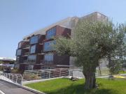 Appartamento in affitto a Frascati RM