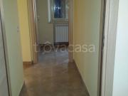 Appartamento in affitto a Frosinone via le Rase,...