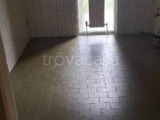 Appartamento in affitto a Gallarate via Amatore Sciesa,...