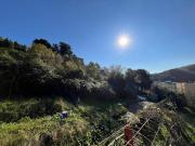 Appartamento in affitto a Genova GE