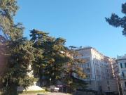 Appartamento in affitto a Genova GE